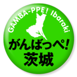 02_gambappe_shadow_rgb.png