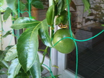 2012-07-10 08.52.49.jpg